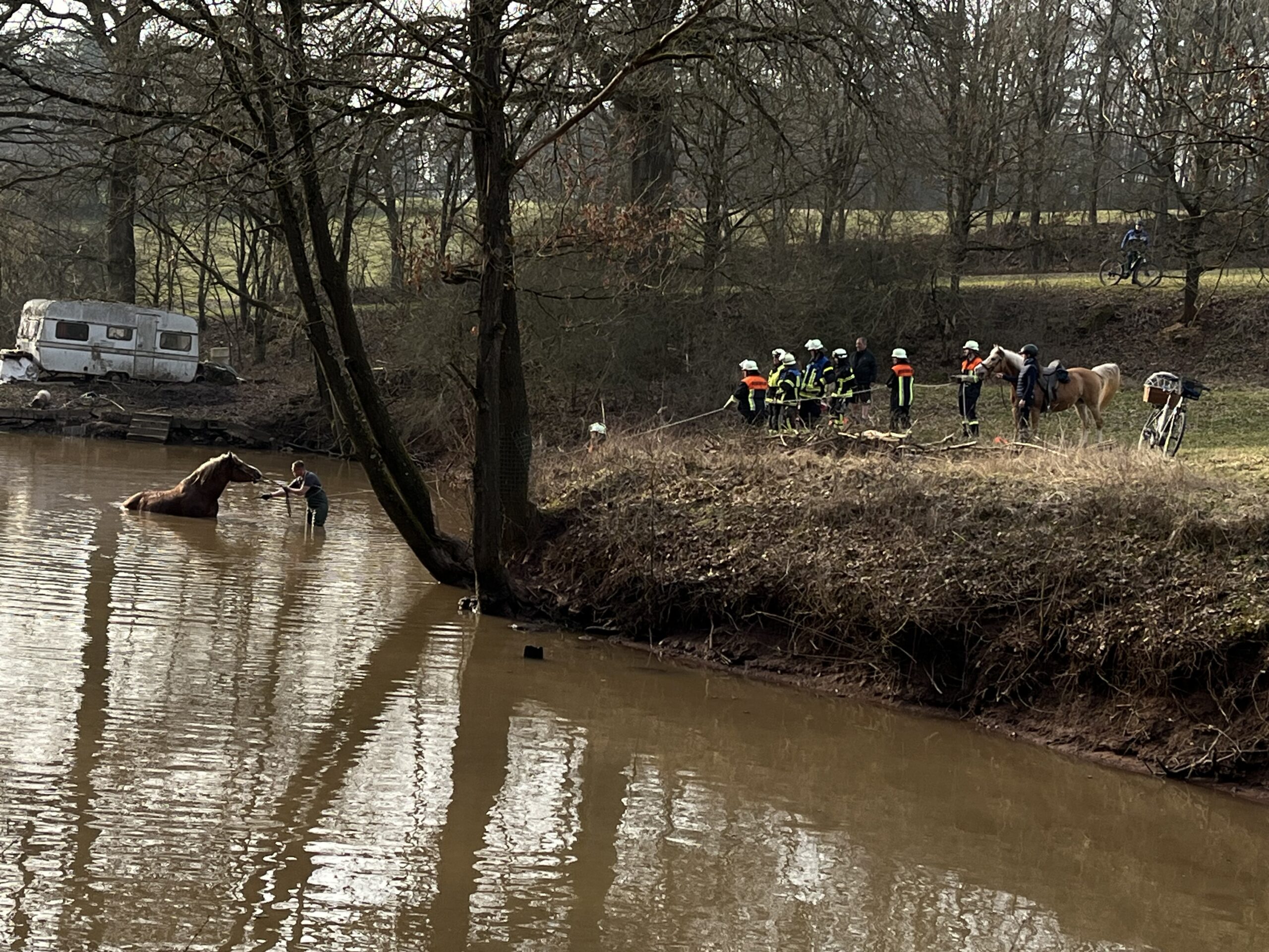 Großtierrettung Pferd in Weiher